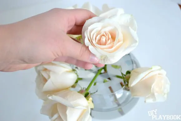 arranging roses in a bowl