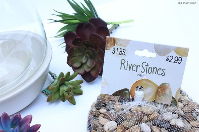 Use river stones in the base of your succulent planter. 