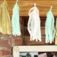 These tissue tassels are fun decor pieces at the bridal shower.