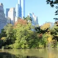 Pretty view of Central Park in New York City.