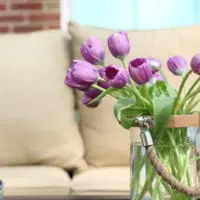 Tulips in a vase on a patio