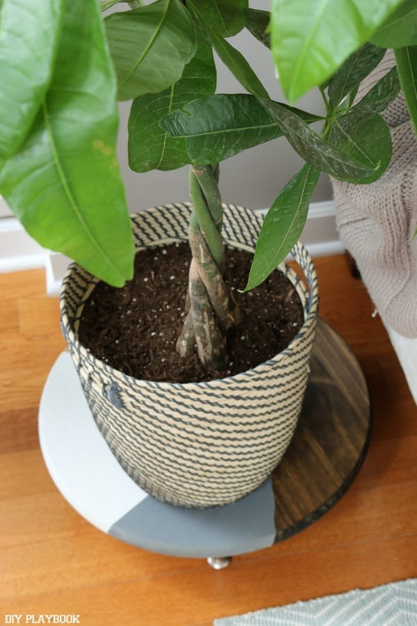 This DIY plant stand is one of the easiest projects to do, and it adds such a cool and chic touch to your home. 