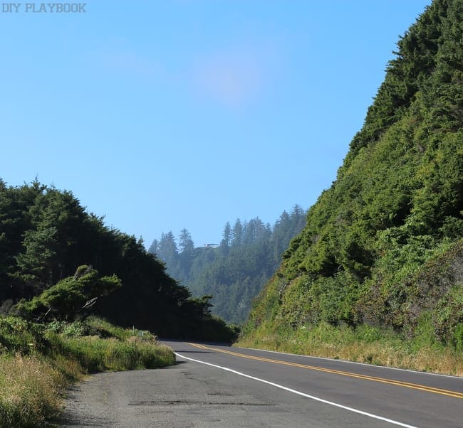 This beautiful, lush, green forest along our Highway 101 route was just a sampling of the diverse and amazing views we encountered on our Seattle to San Francisco road trip.