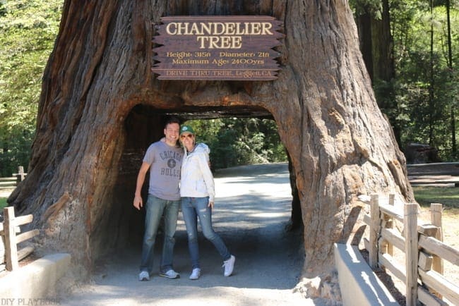 Casey and Mike under the giant Chandelier redwood tree - a memory from our Seattle to San Francisco road trip.