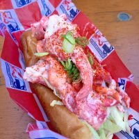 NYC lobster rolls