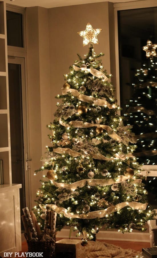 Oh Christmas Tree O Christmas Tree!