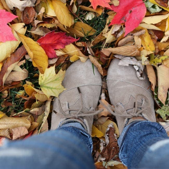 Fall Leaves TOMS Shoes