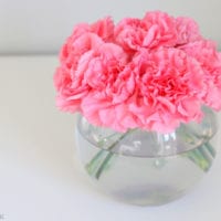 Pink carnations in the bowl vase