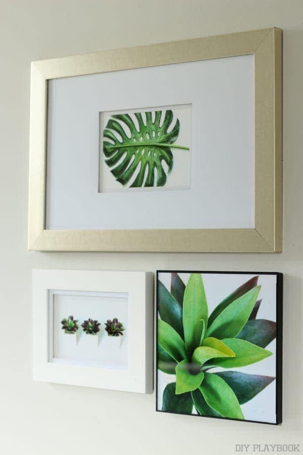 Framed prints on a gallery wall.