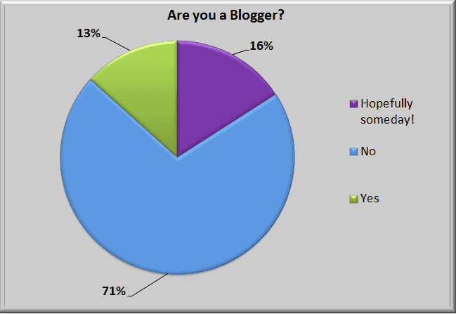 Surveys show the majority of people who read DIY Playbook are not bloggers. 