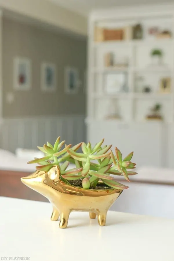 Cute gold hedgehog planter is the right accent for any room. 