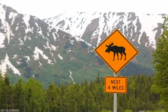 Alaska Road Trip Recap