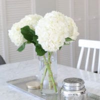 hydrangea flowers for the dining room table
