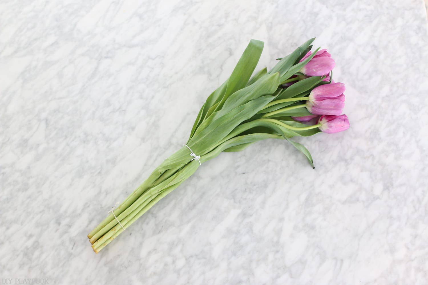 How to perfectly arrange your tulips