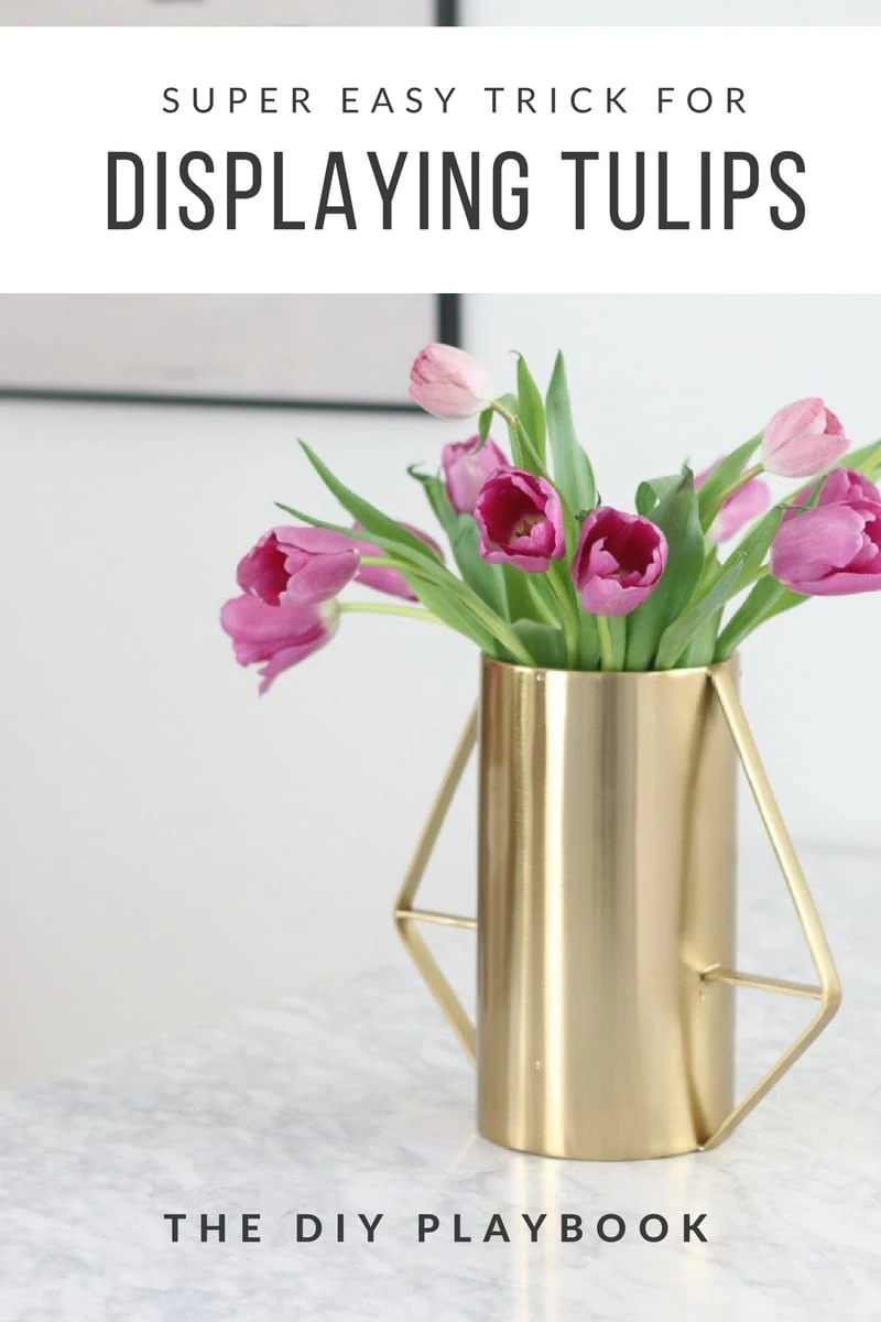 Easy tips to display tulips