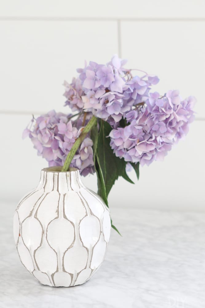 how-to-revive-droopy-hydrangeas