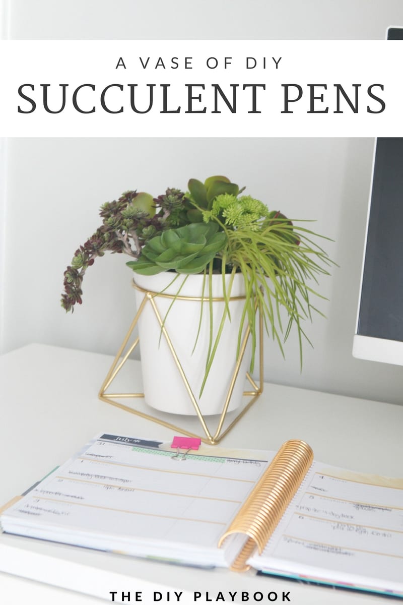 Succulent Pens DIY Office Decor Project | DIY Playbook
