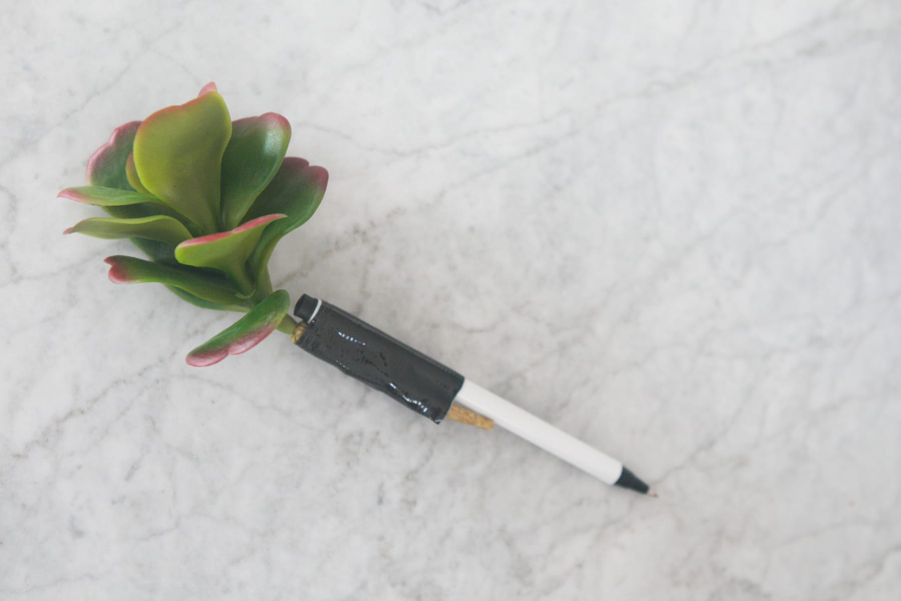 Use Tape! Succulent Pens DIY Office Decor Project | DIY Playbook