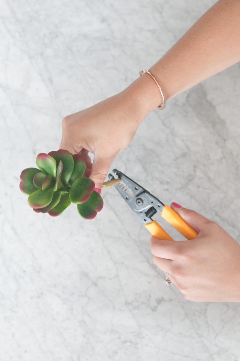 Cut down the stem: Succulent Pens DIY Office Decor Project | DIY Playbook