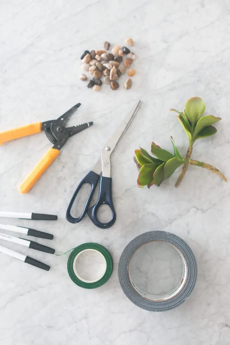 Supplies: Succulent Pens DIY Office Decor Project | DIY Playbook