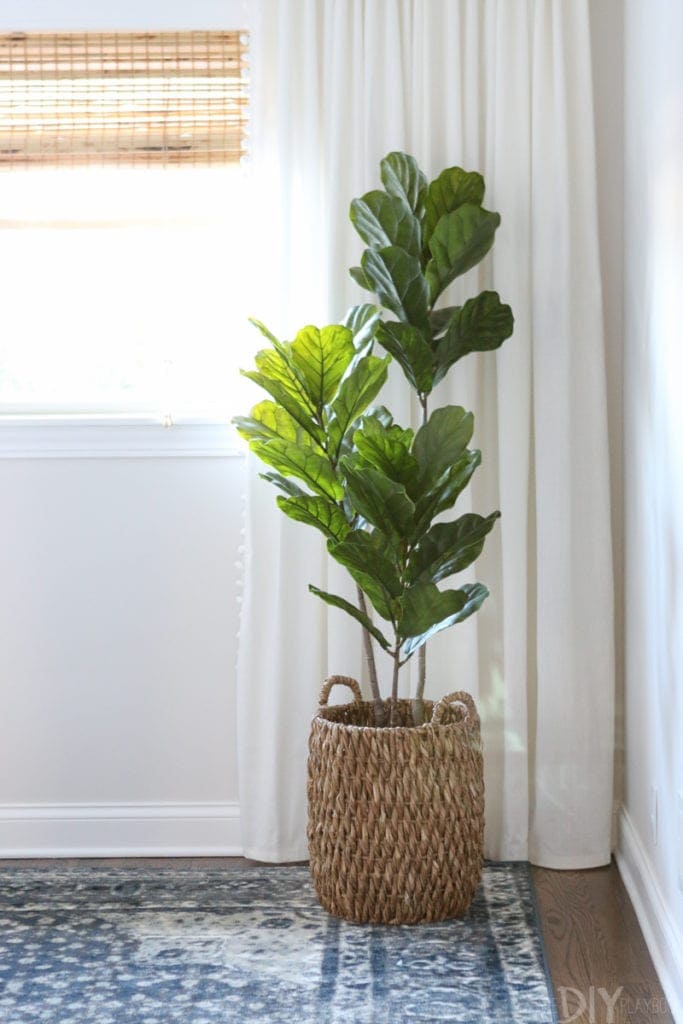 Our favorite indoor plants for your home