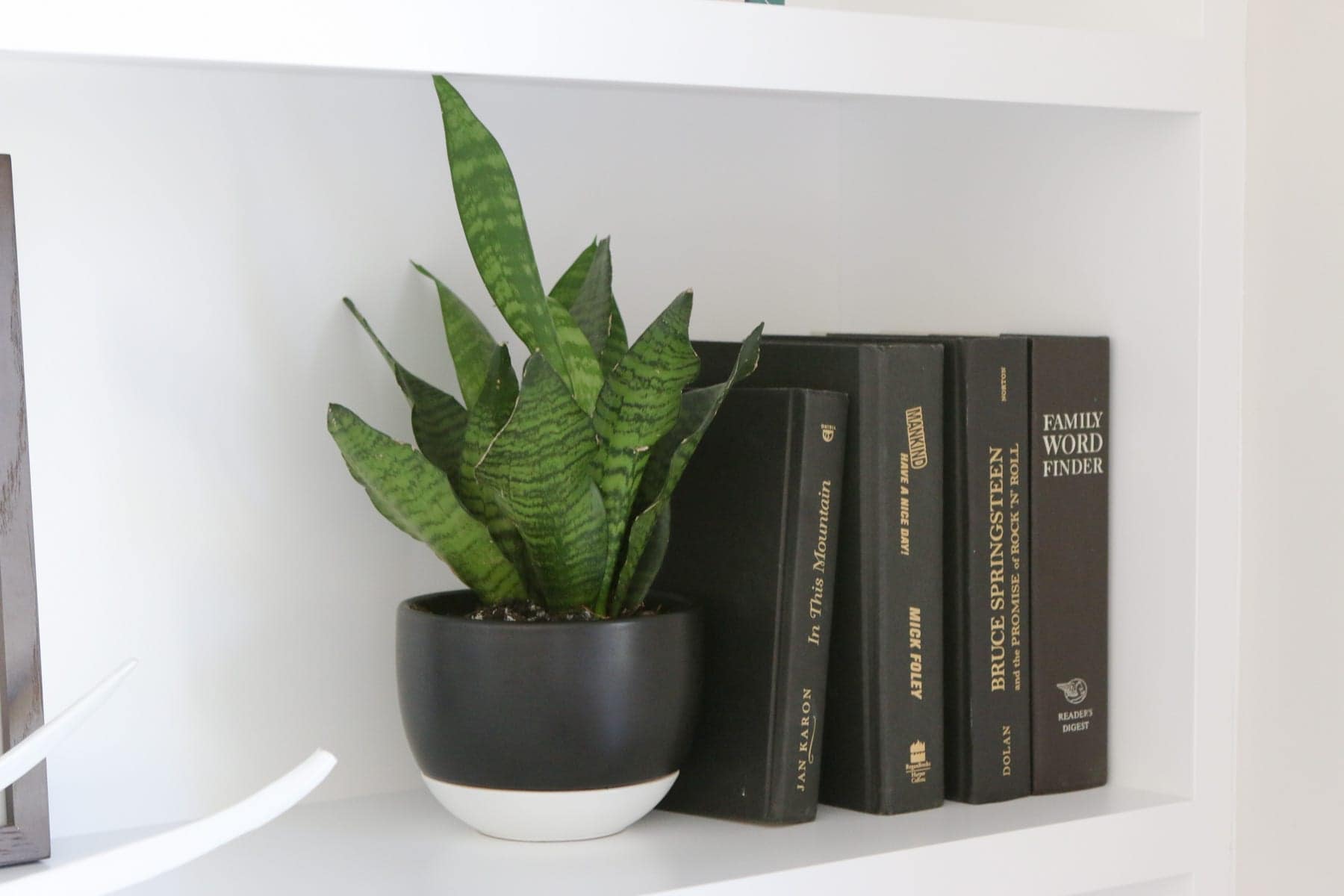 Black books and a plant are well styled on this built-in shelf