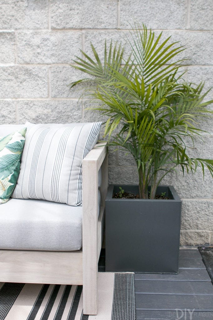 A modern planter with a palm tree