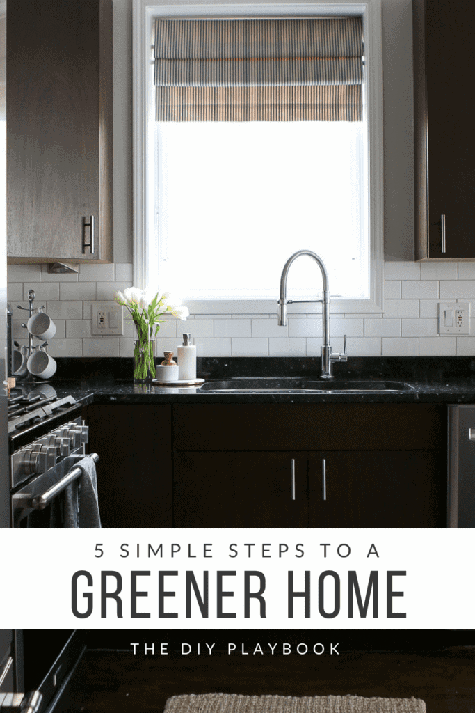 5 steps to a greener and more eco-friendly home