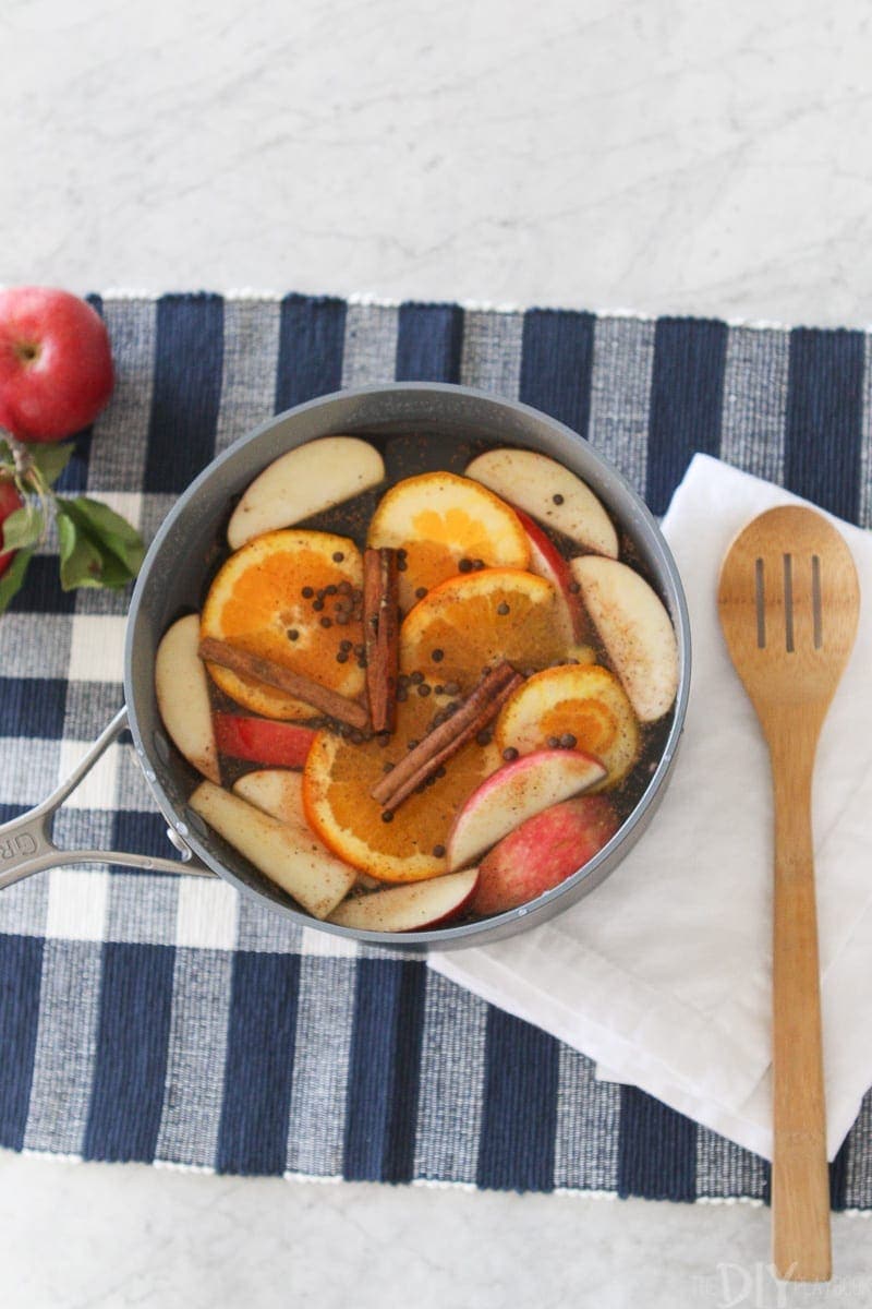 Apple Cinnamon Crock Pot Potpourri Recipe 