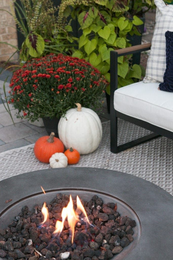 firepit outside in the fall