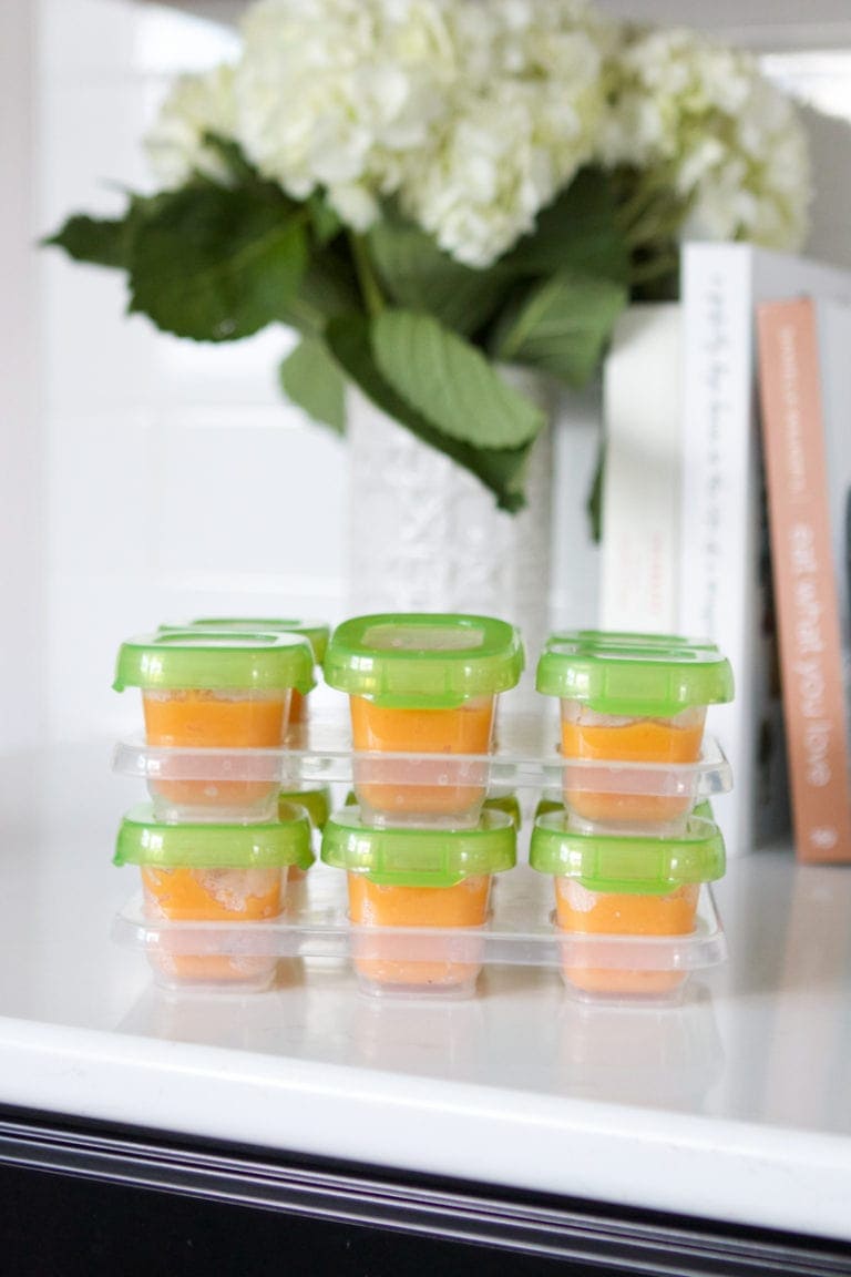 beginner's guide to making baby food