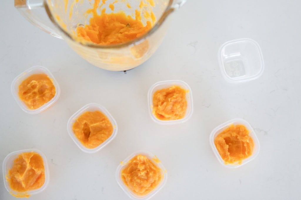 making baby food the easy way