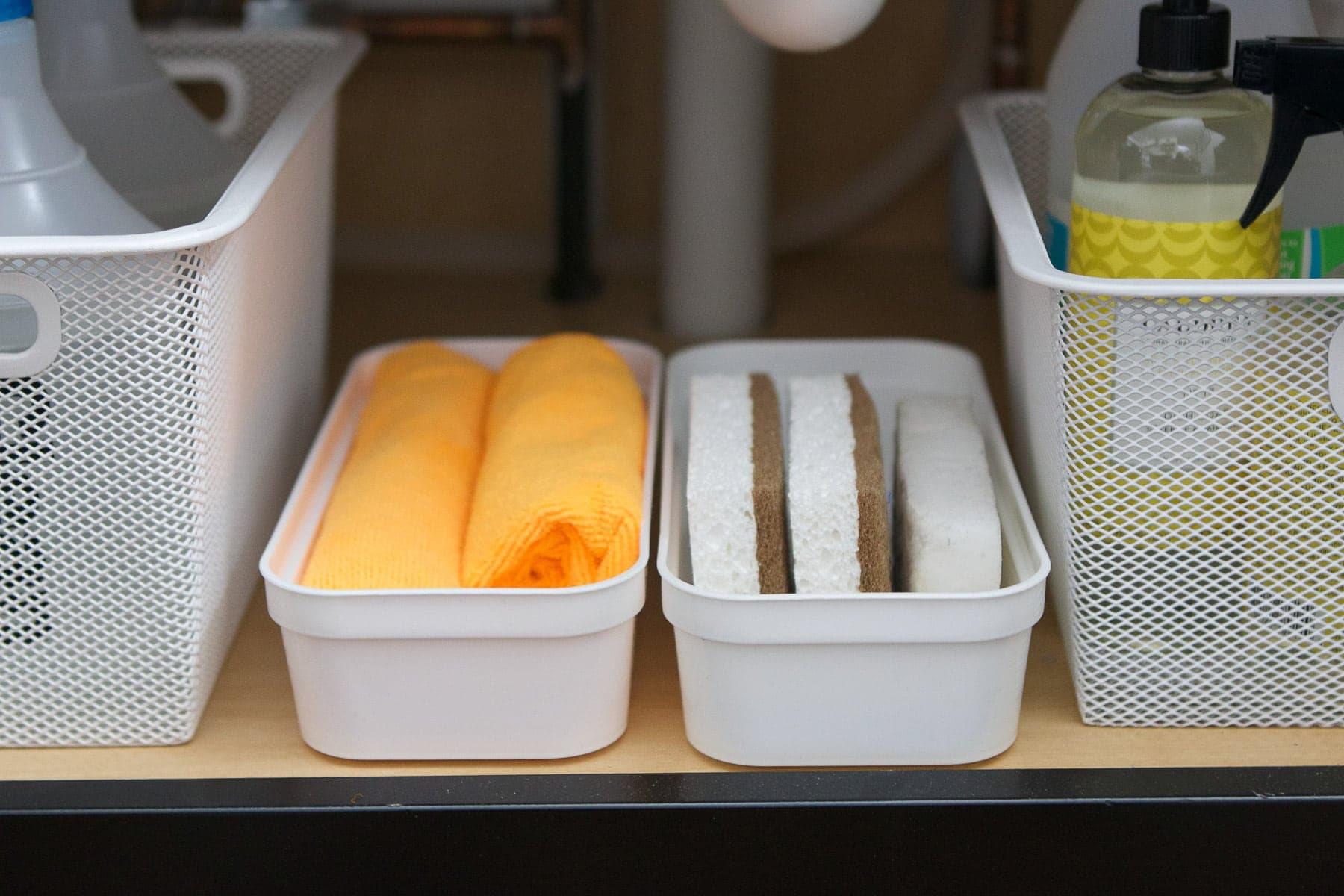 containers under the sink for rags and sponges