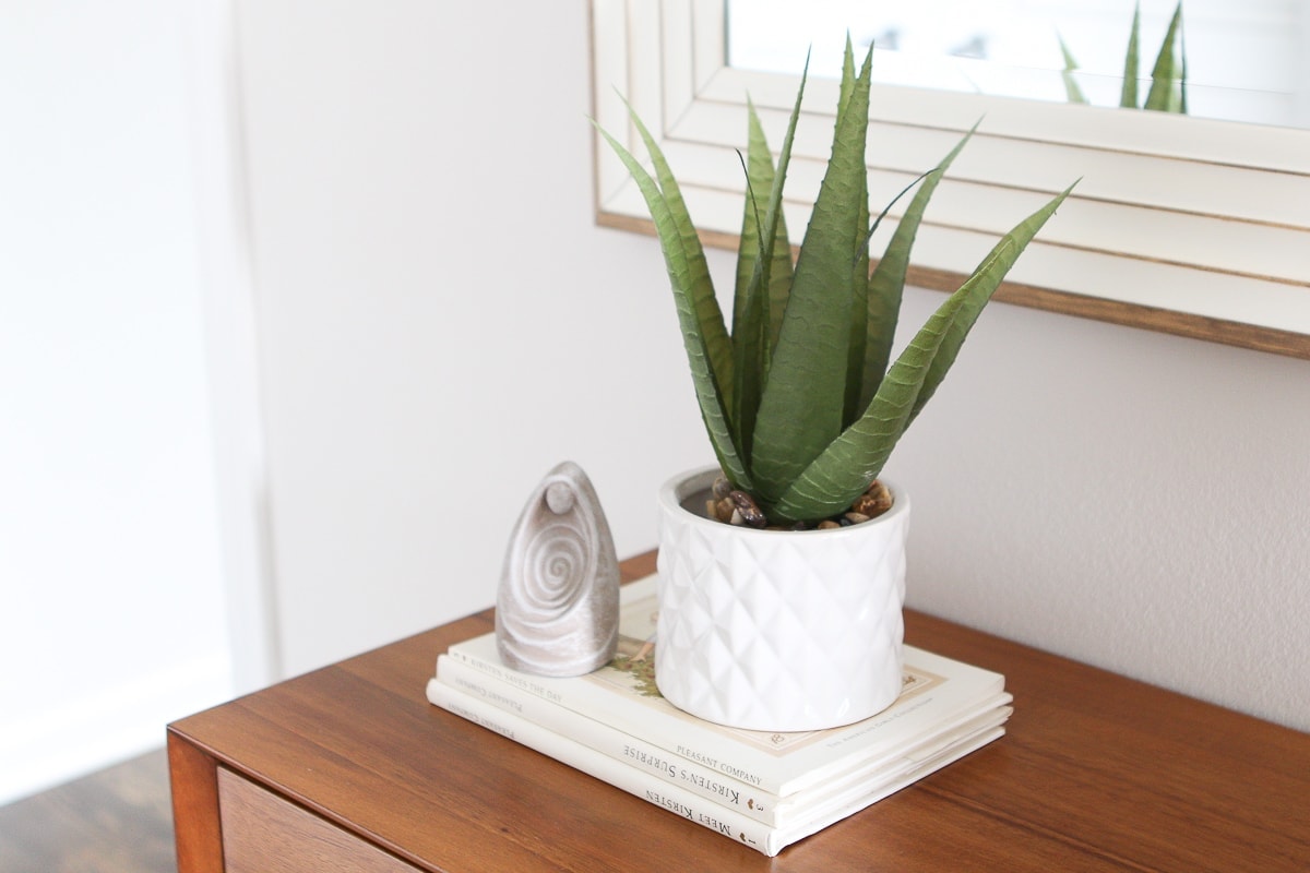 Faux plant on books in an entryway
