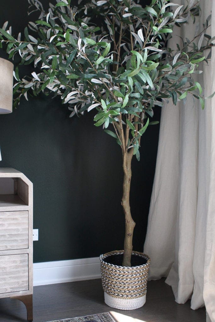 Crate and barrel olive tree