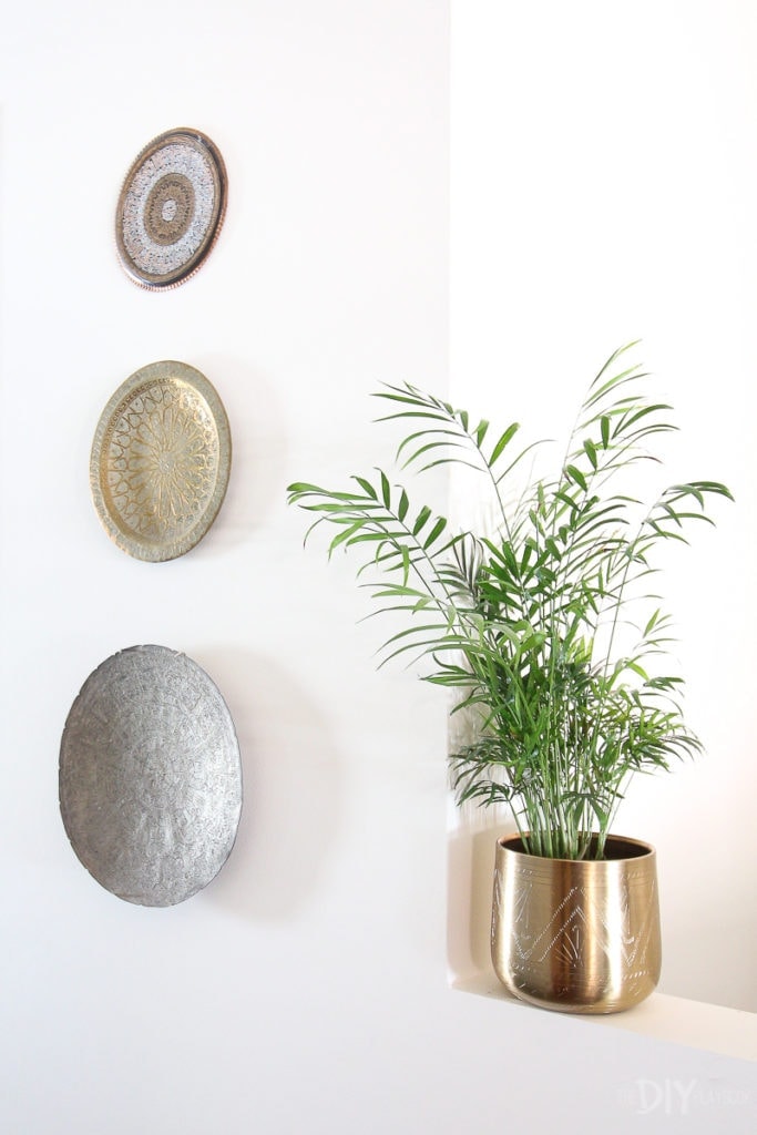 Plates and a plant in the hallway