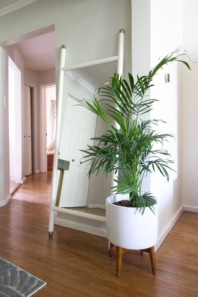 Floor length mirror and plant