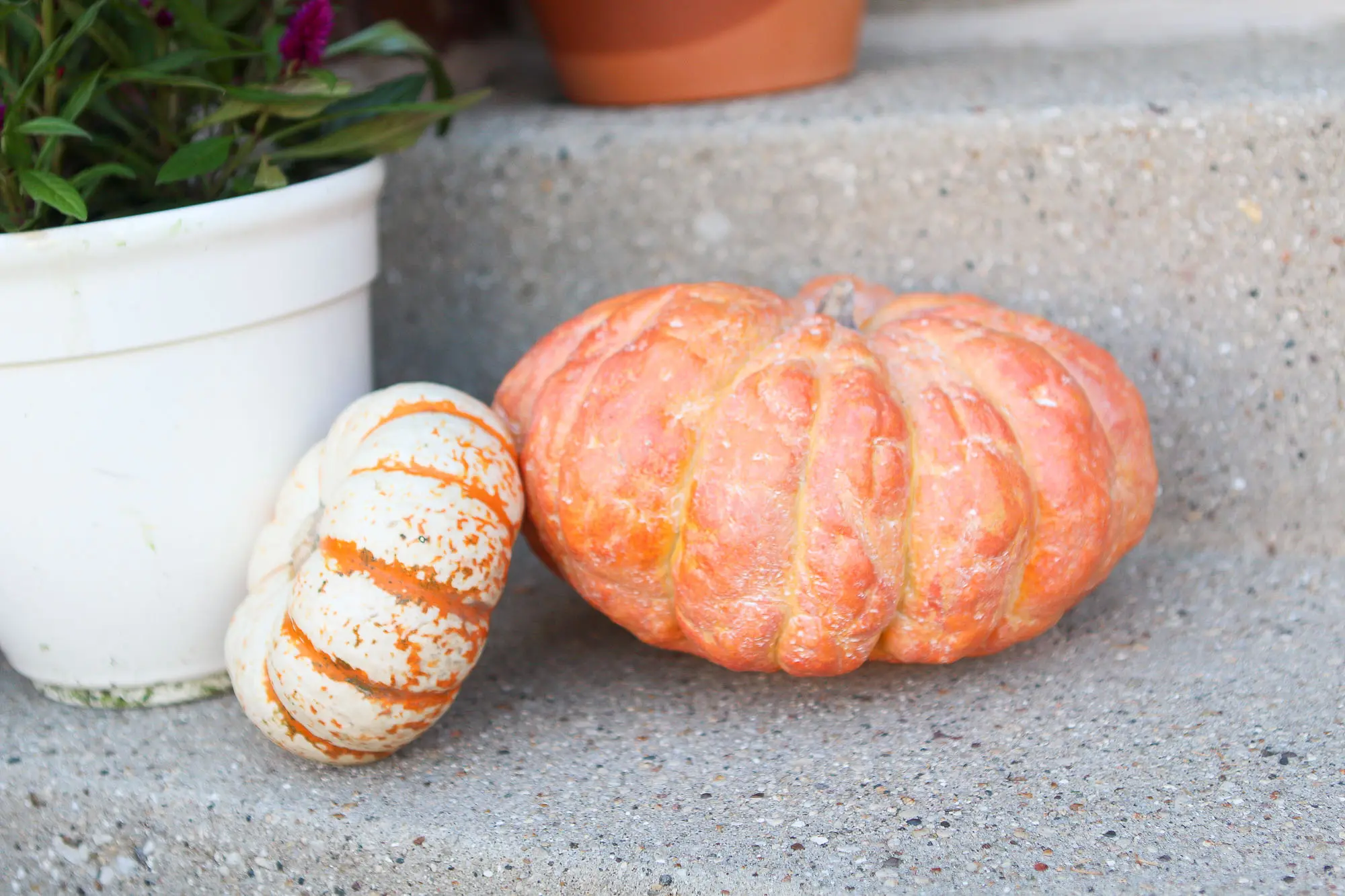 Faux and real pumpkins