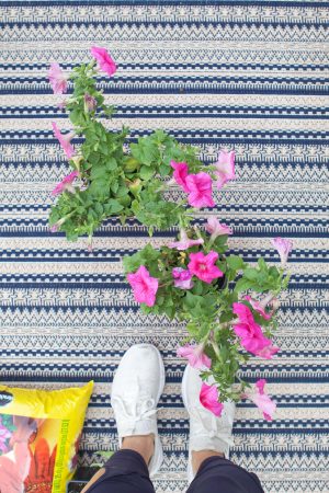 How to Plant Flowers in a Pot