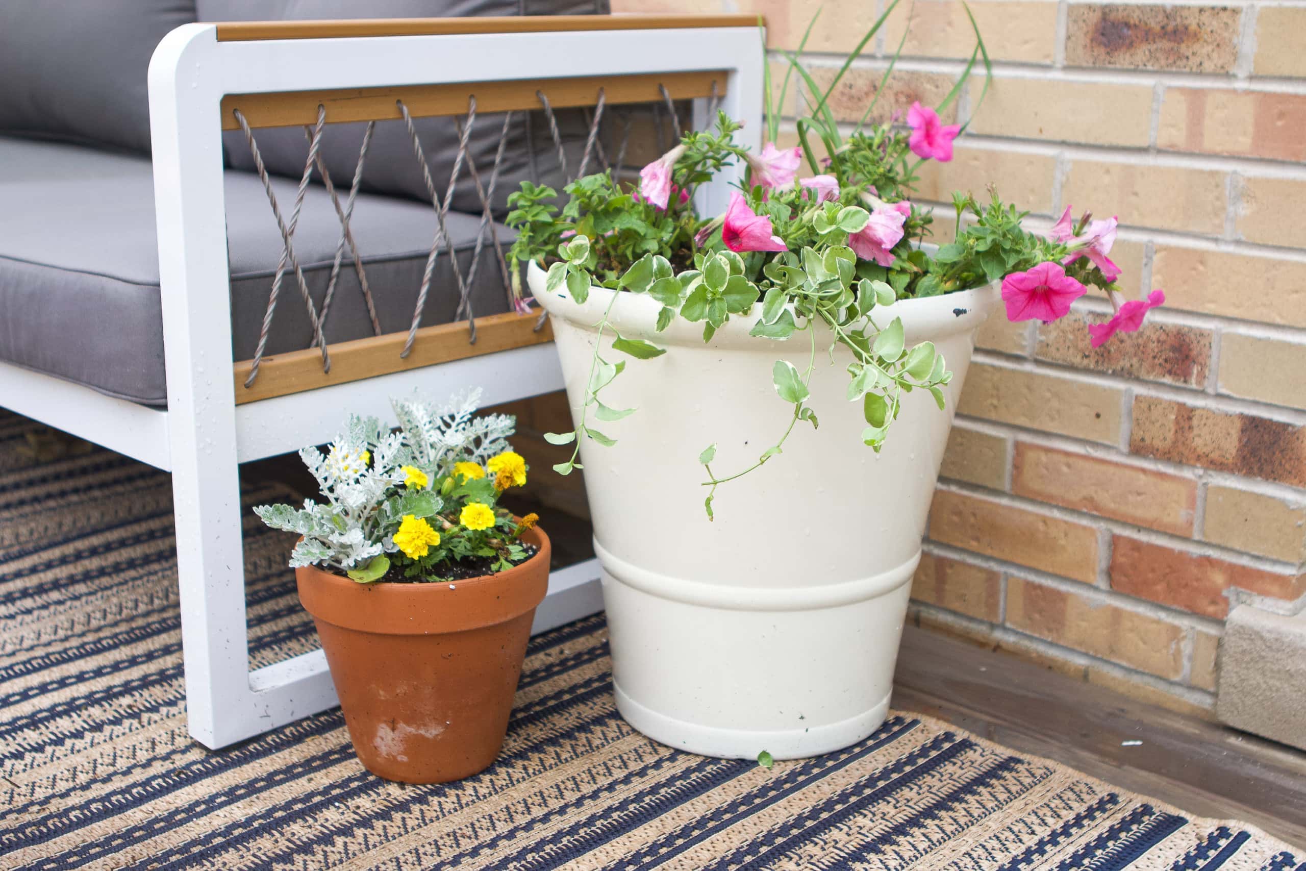 How to plant flowers in a pot