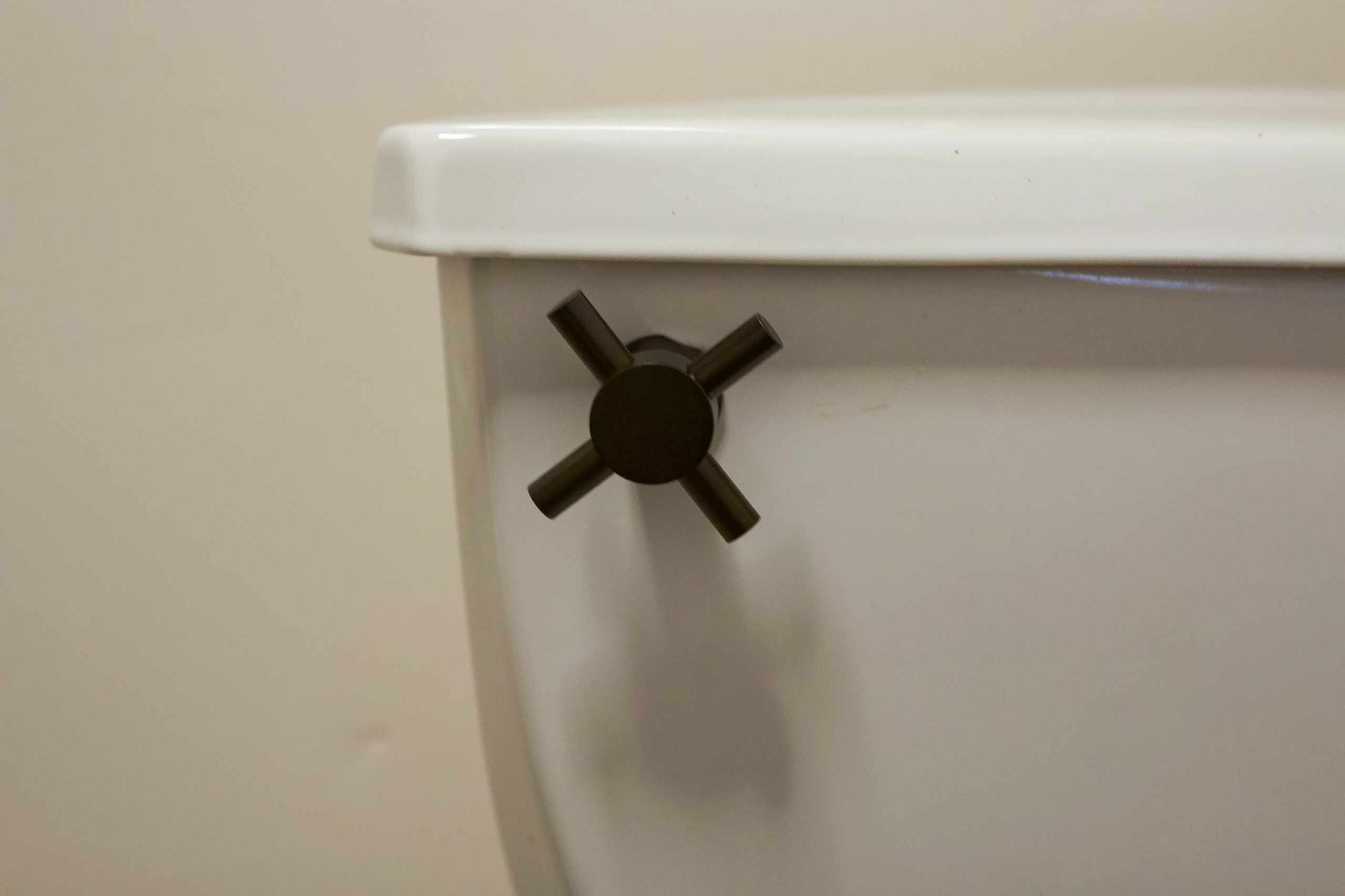 Black toilet handle