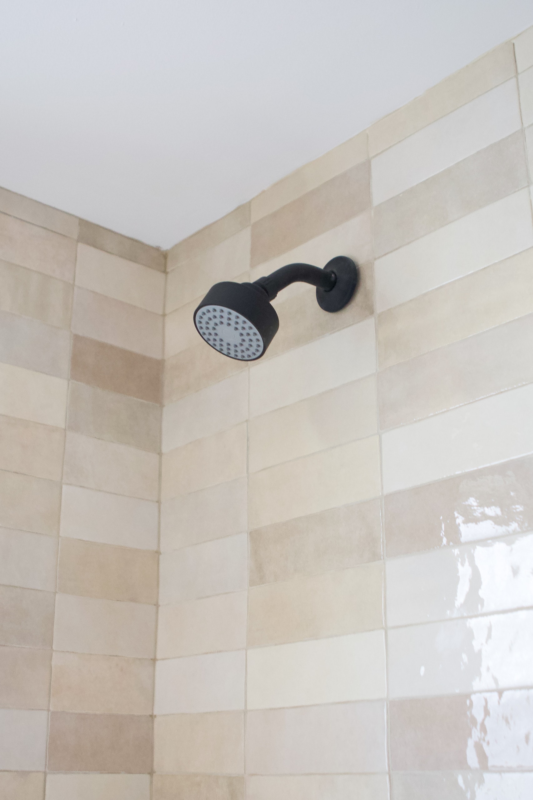 Shower head with the creme cloe tile