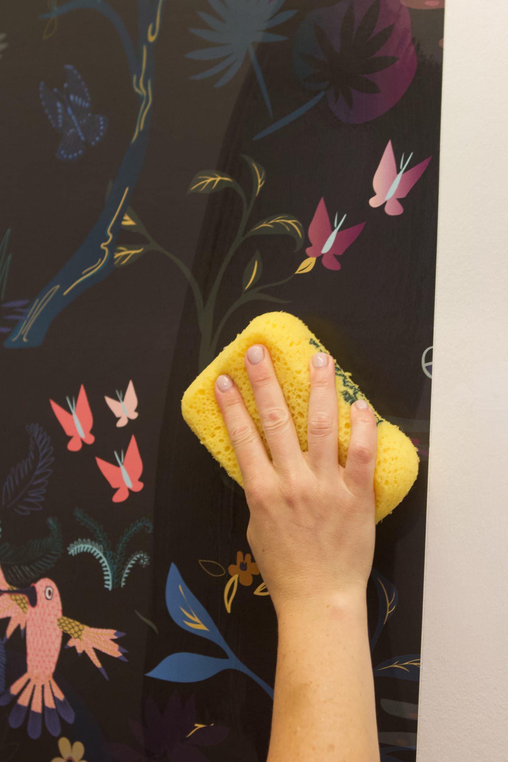 Wipe down the wallpaper with a sponge