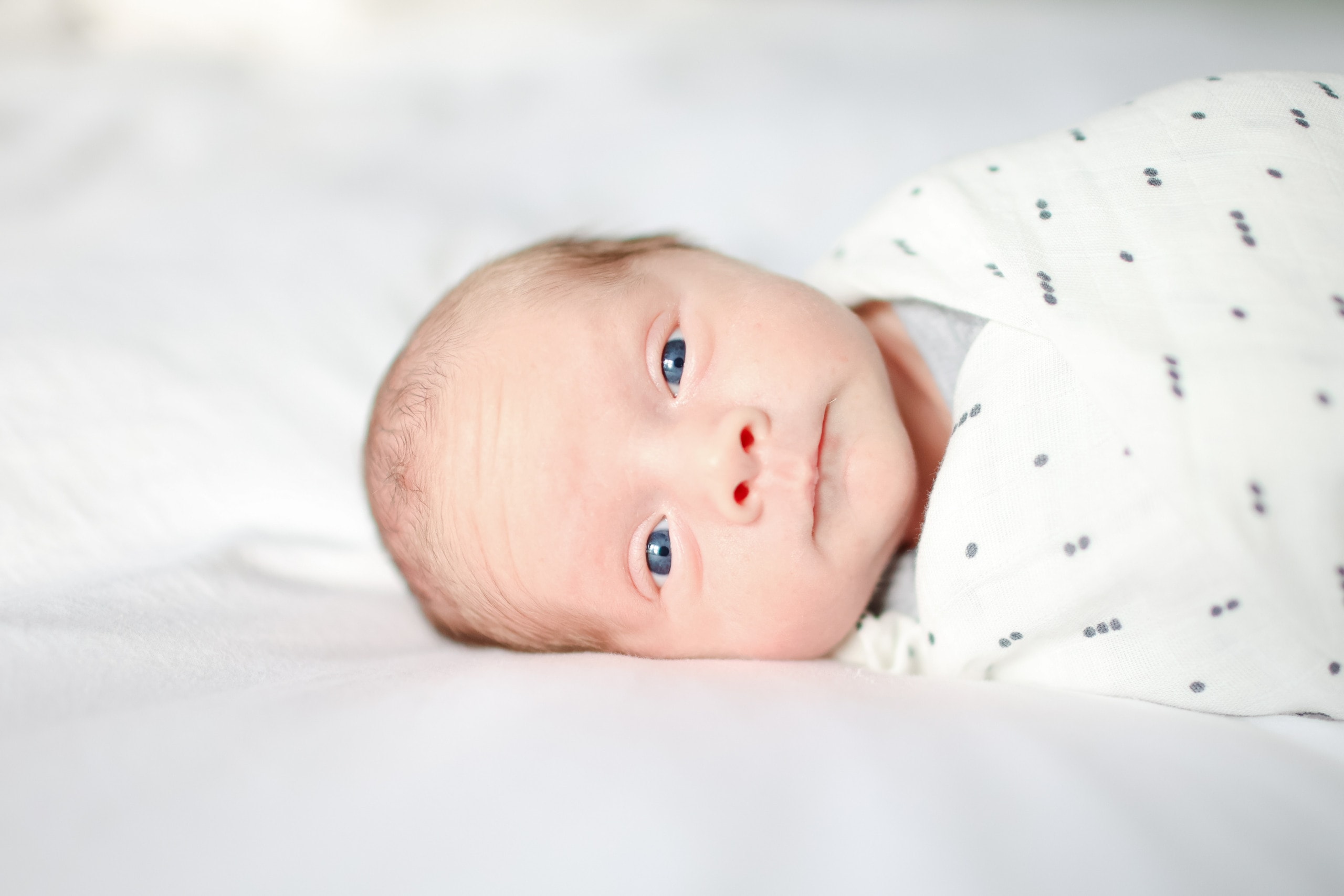 Baby Ellis newborn photo shoot