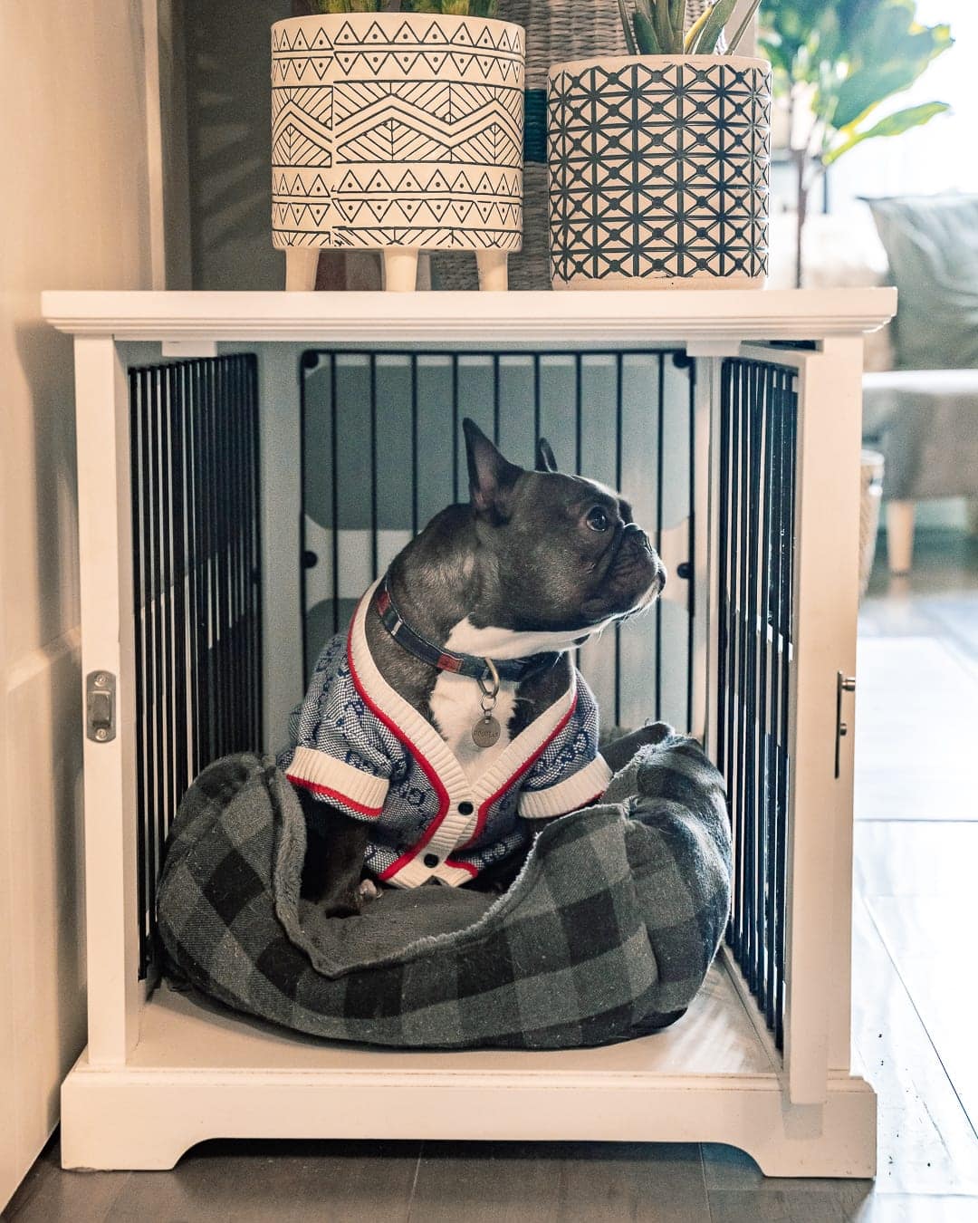 dog crate furniture 