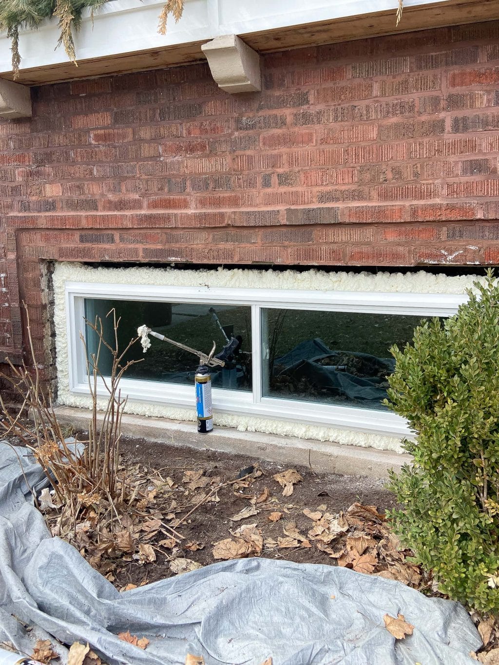 Adding new windows to the basement