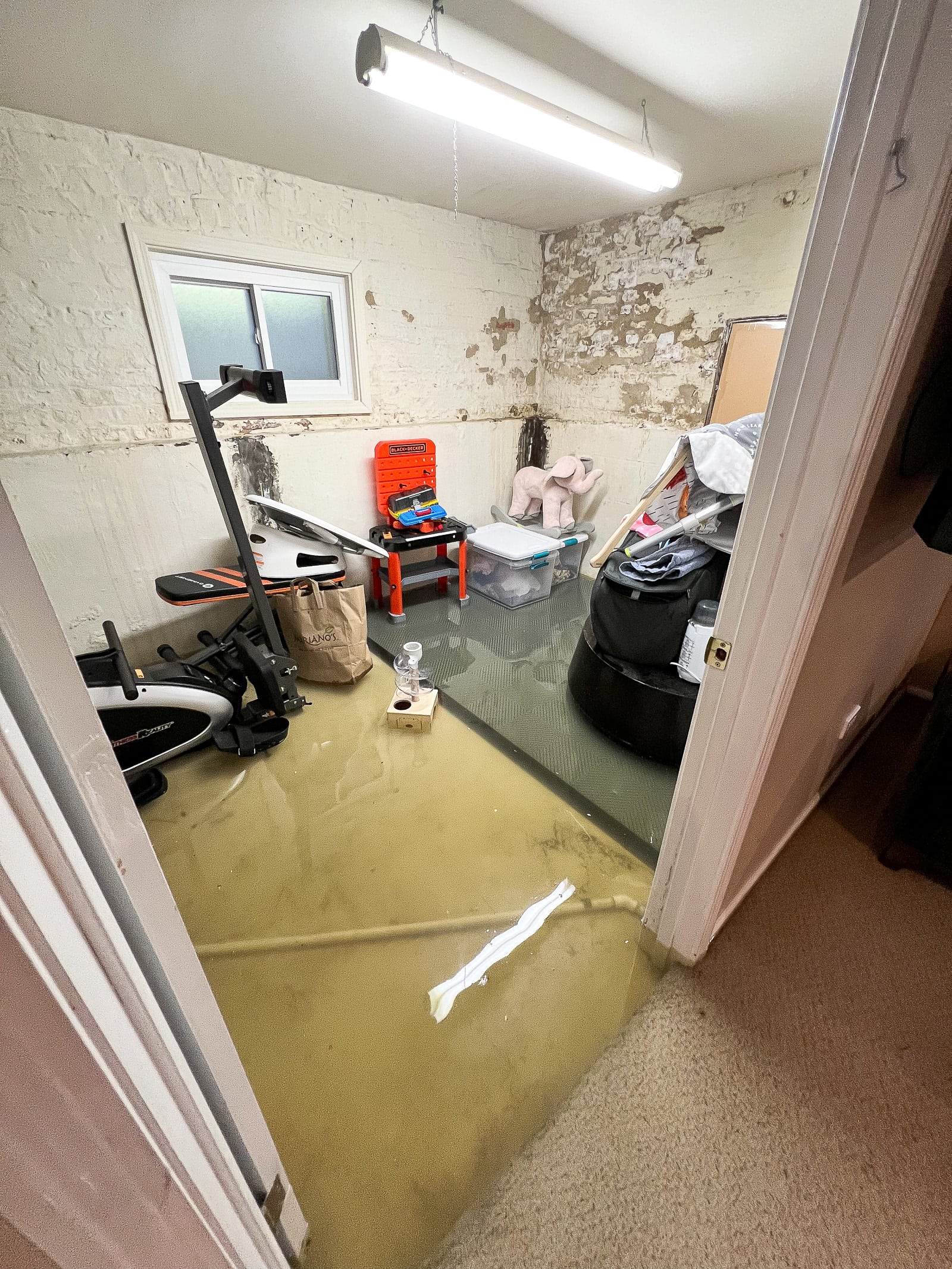 Our basement flood