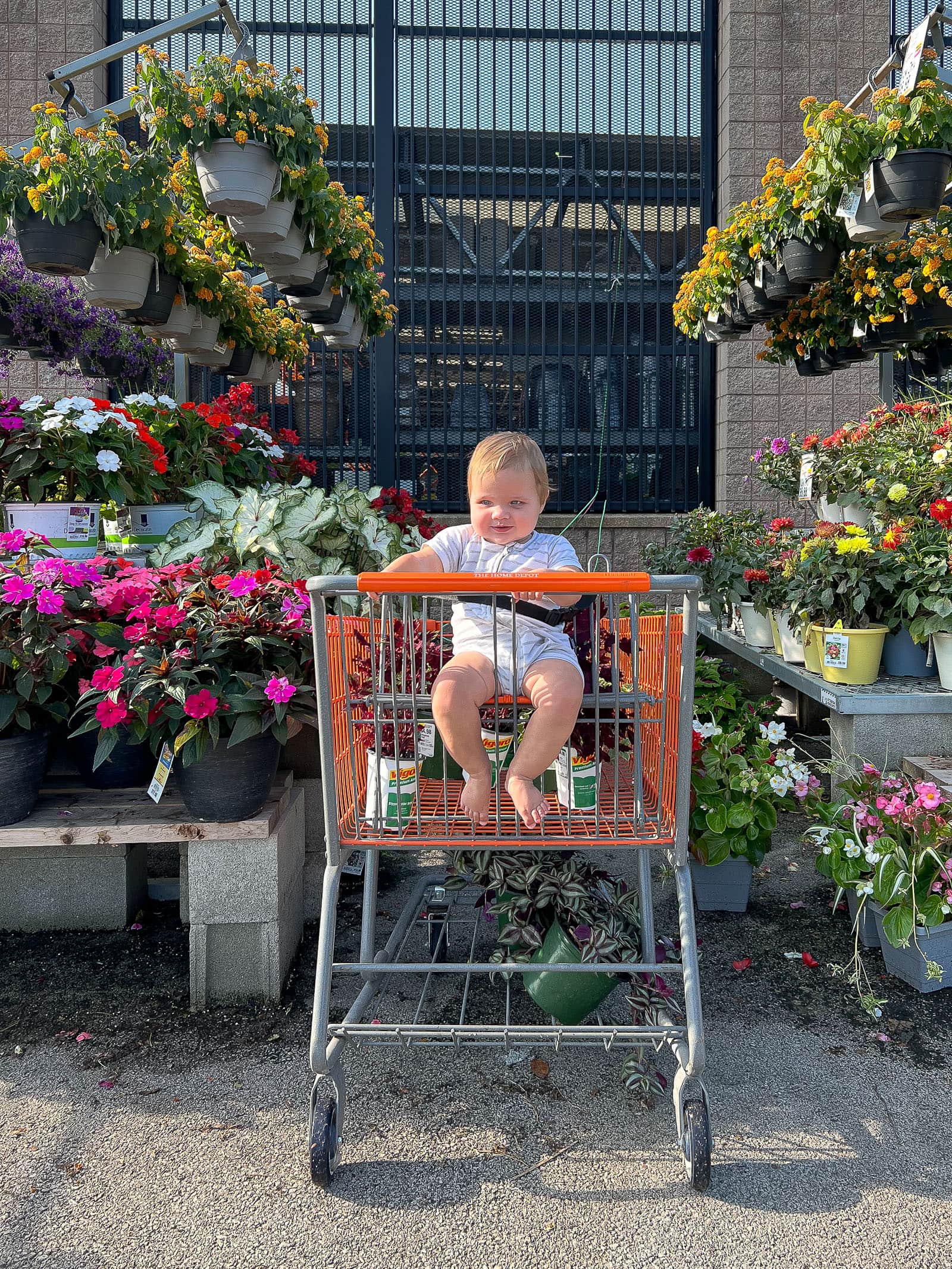 Ellis shopping for our fall planters