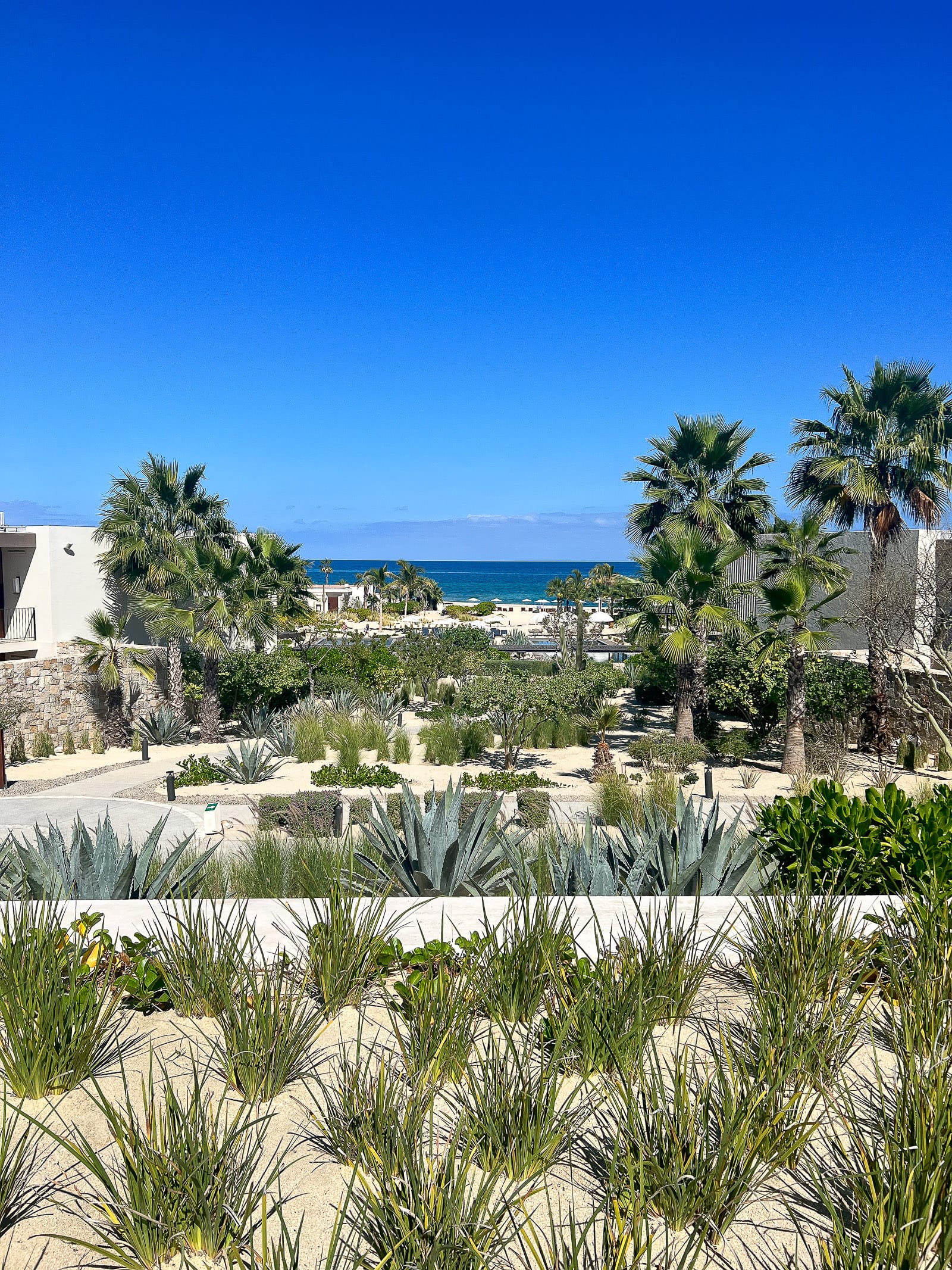 Staying at the Four Seasons in Cabo