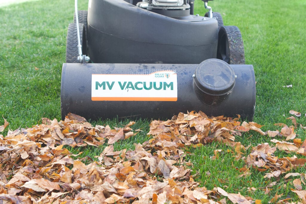 Using a lawn vacuum to suck up leaves